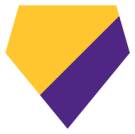 Minnesota Vikings